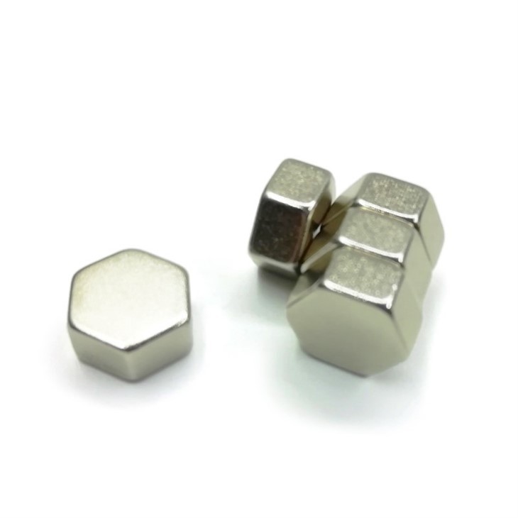 Neodymium Polygonal Magnet